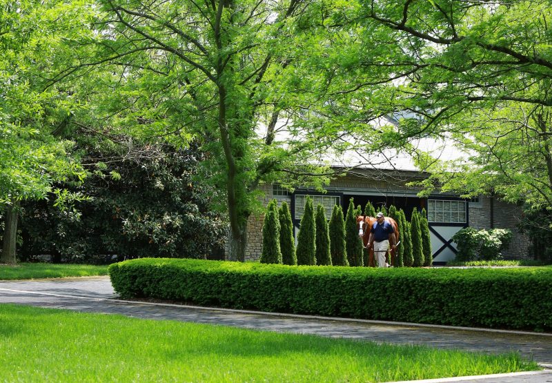 Munnings Walking