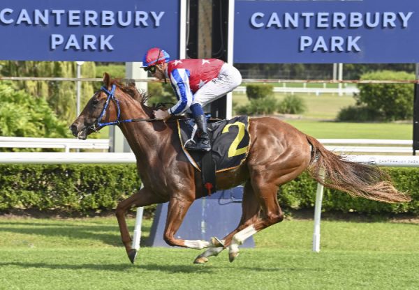 Trafalgar Square (Churchill) wins at Canterbury