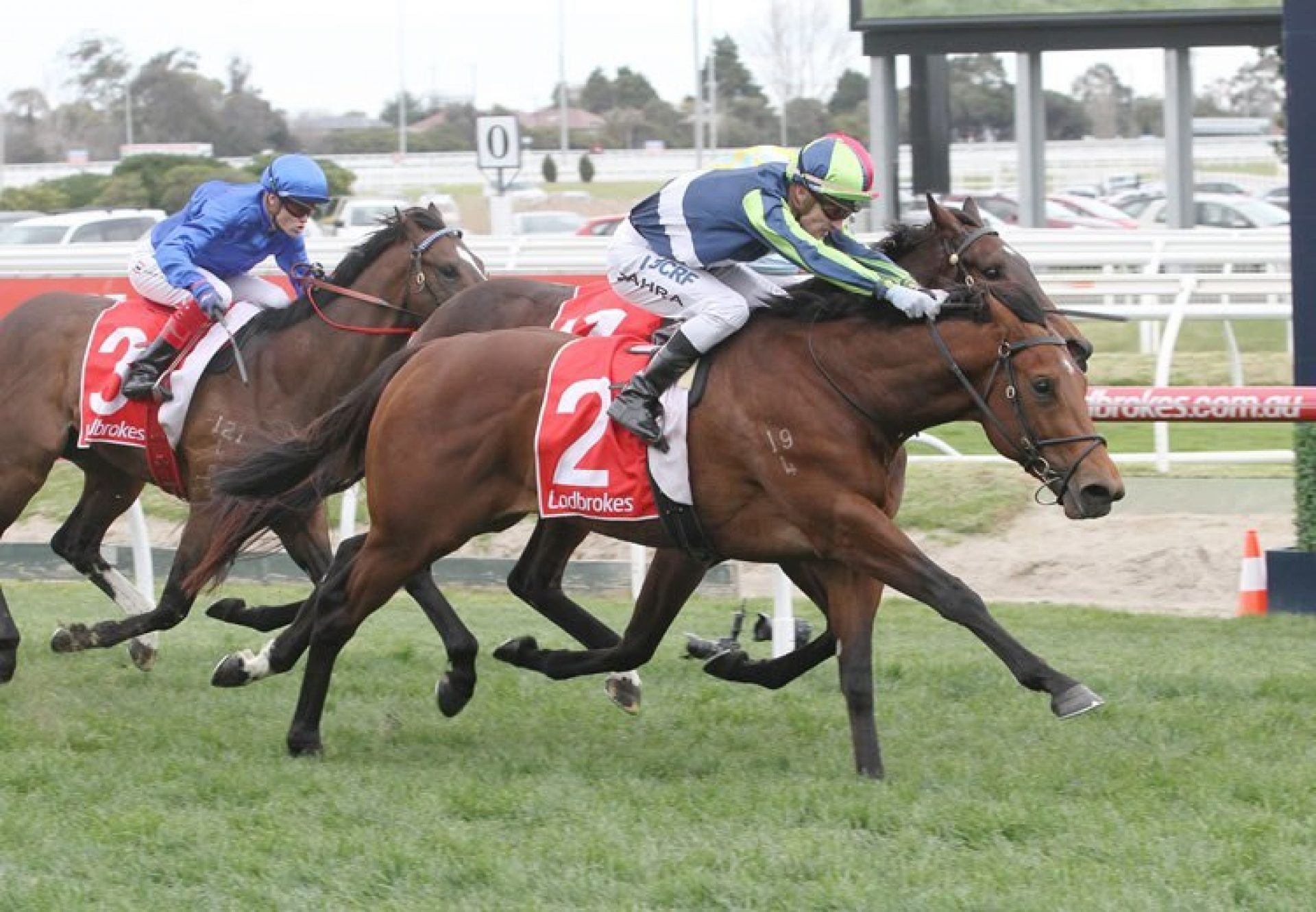 Merchant Navy winning the McNeil Stakes