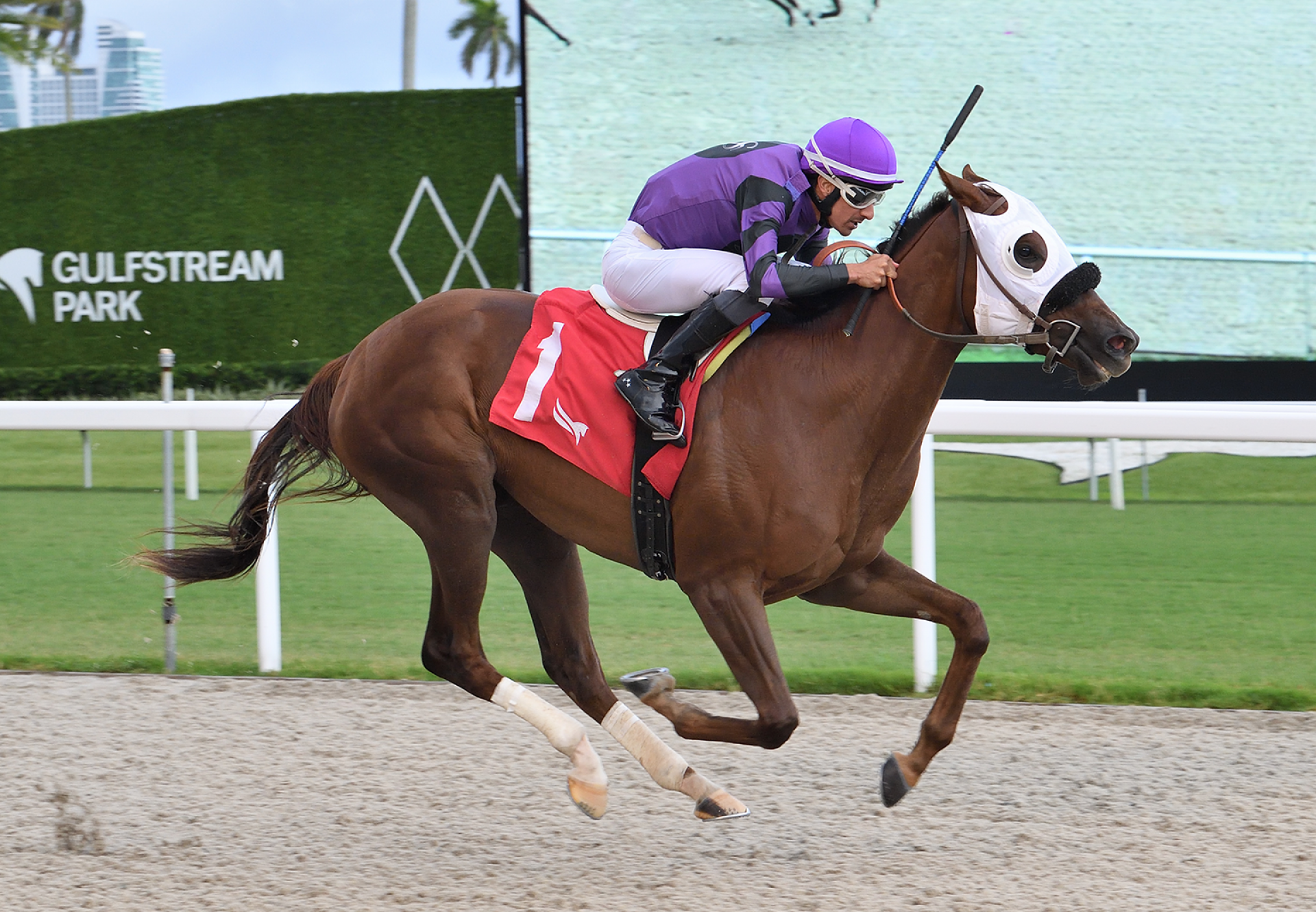 Hello Hello Hello (Echo Town) Wins Gulfstream Msw