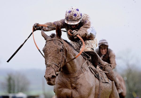 Weveallbeingcaught (Getaway) Wins On Debut At Dromahane