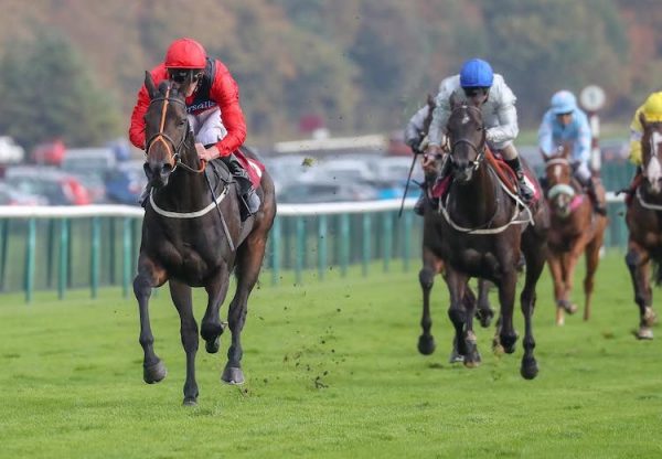 Welcoming (No Nay Never) winning a novice stakes at Haydock