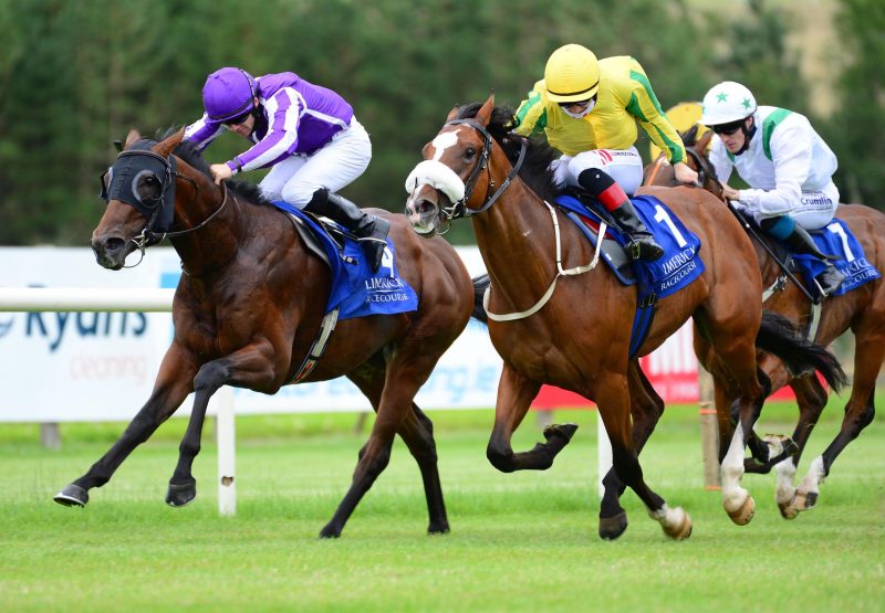 Giorgio Vasari (Air Force Blue) Wins At Limerick