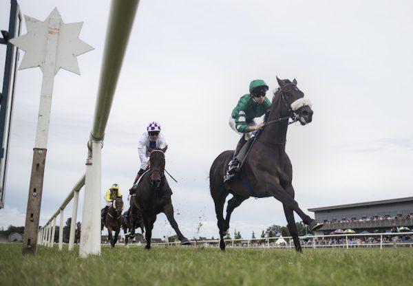 No Needs Never (No Nay Never) winning a maiden at Down Royal