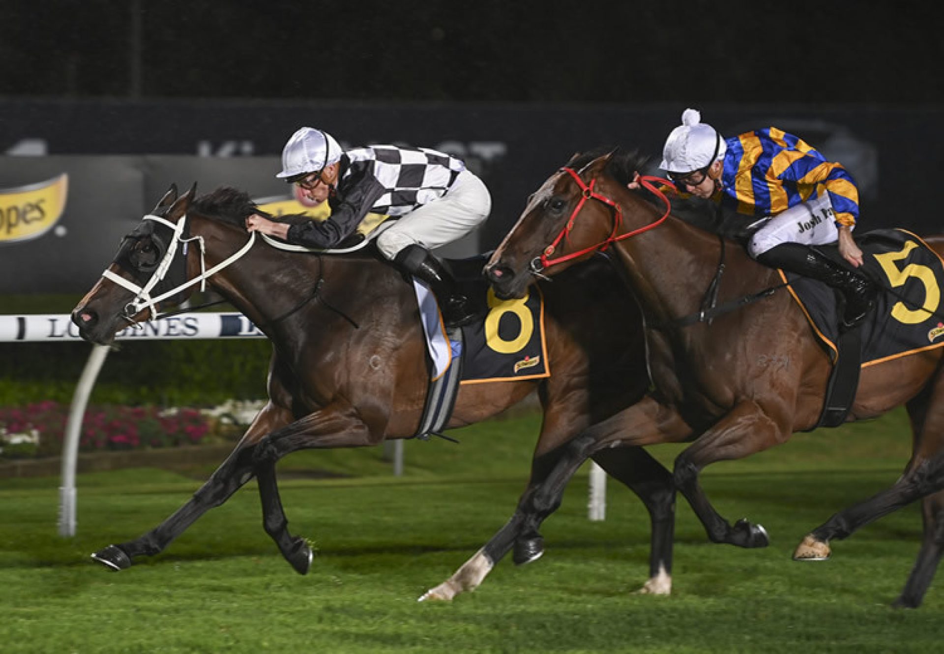 Super Chilled (Churchill) wins at Canterbury