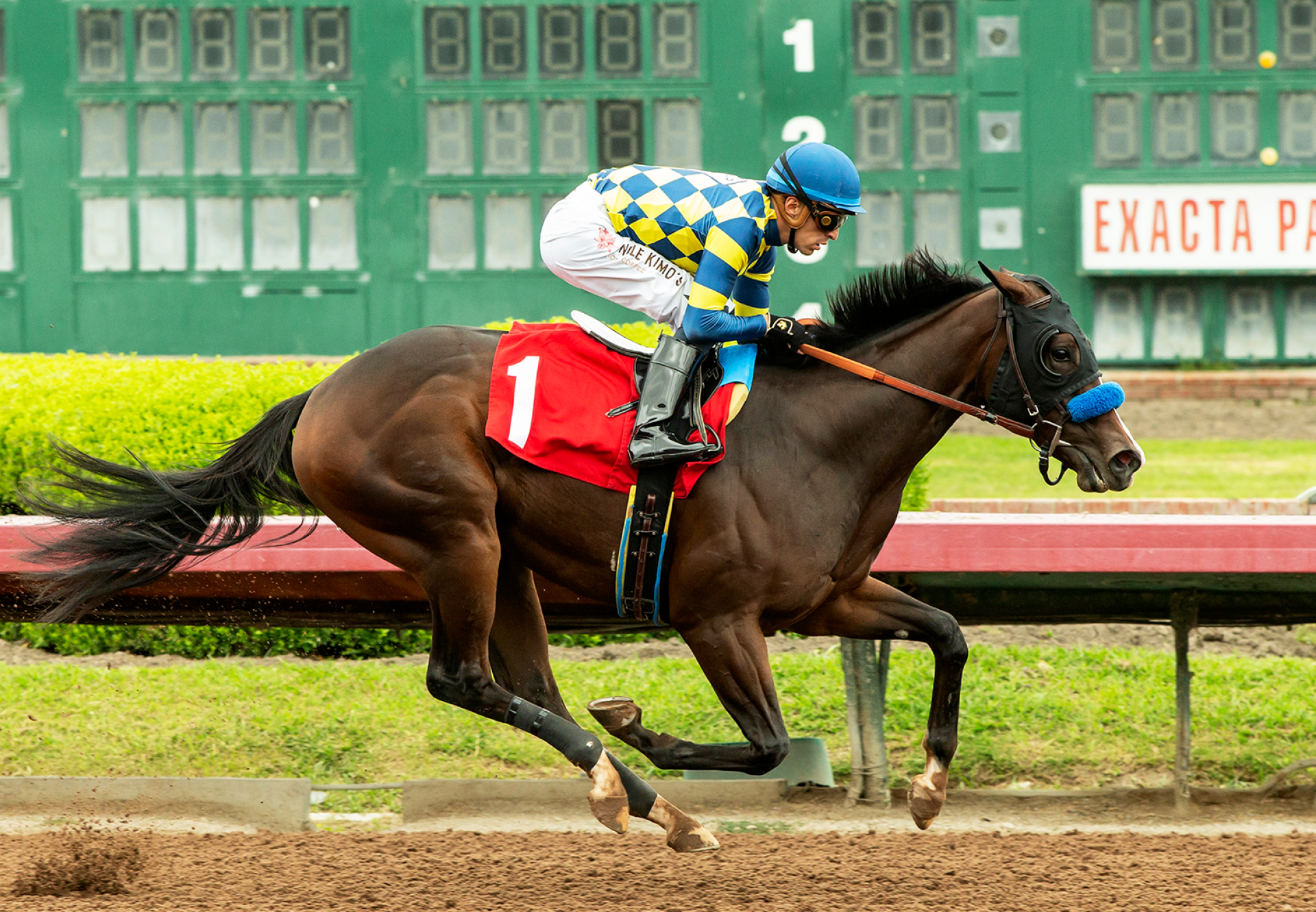 Silent Law (Tiz The Law) Wins Los Al Msw