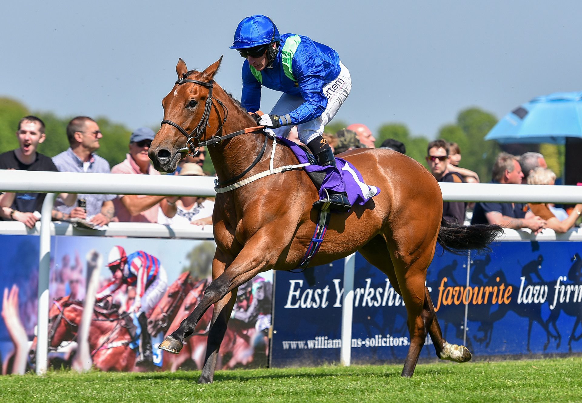 Auchterarder (Gleneagles) winning at Beverley