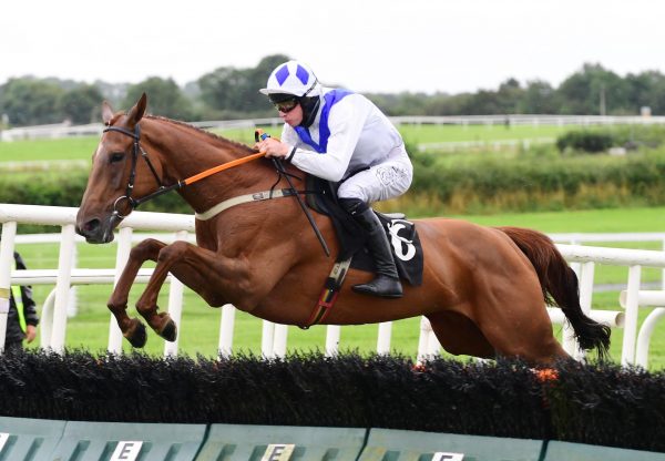 Apple Crumble (Getaway) Wins The Novices Hurdle At Kilbeggan