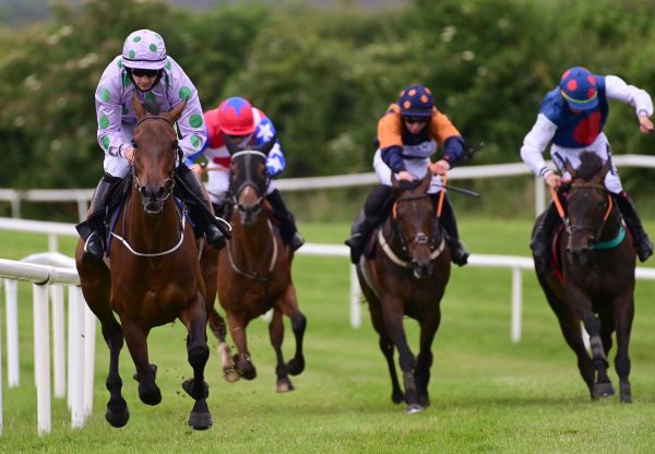 Whosgotyanow (Getaway) Wins The Mares Maiden Hurdle At Kilbeggan