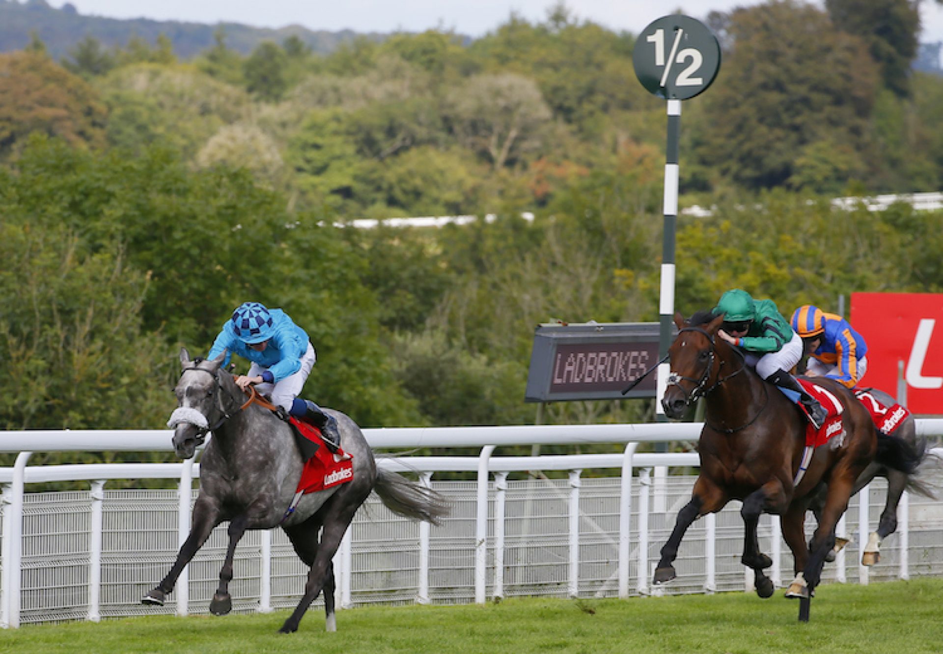 Maid Up (Mastercraftsman) winning the G3 March Stakes at Goodwood