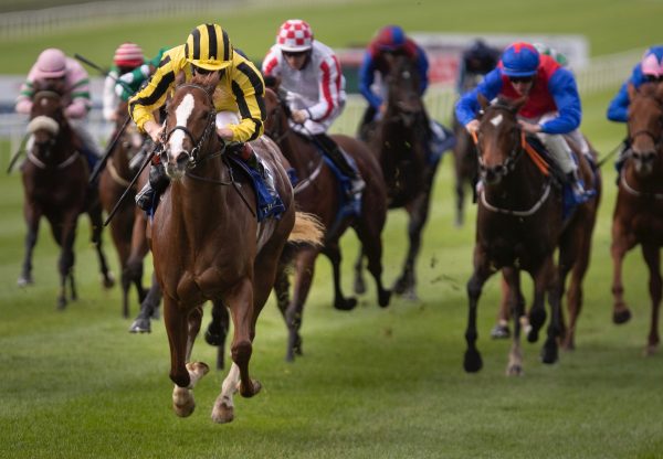 Dun Na Sead (Starspangledbanner) Impresses On Debut At The Curragh