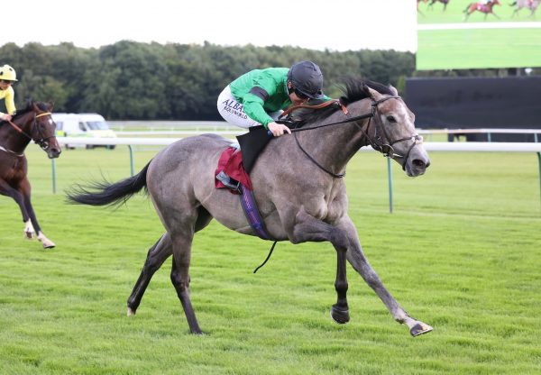 Spacer (Starspangledbanner) Gets Off The Mark At Haydock