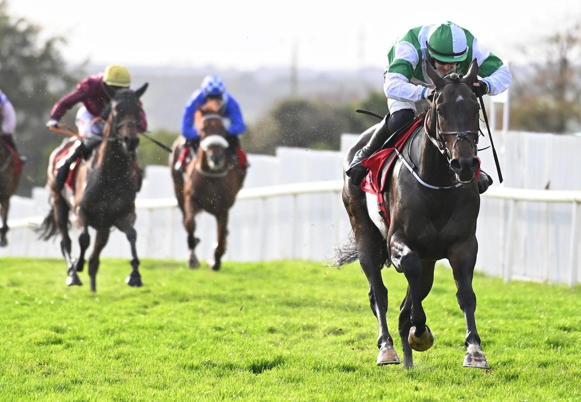 Dee Capo (Maxios) Wins The Bumper At Galway