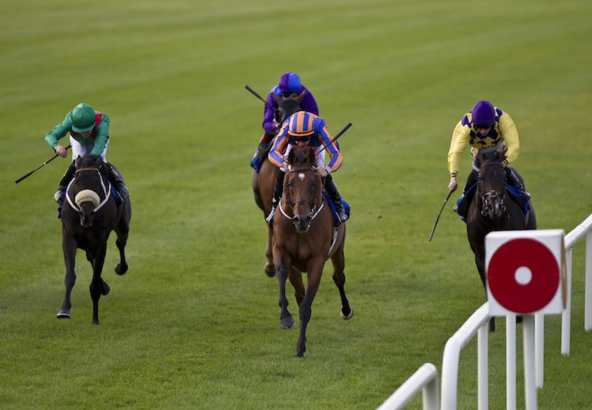 Cougar Mountain (Fastnet Rock) winning the G3 Desmond Stakes at Leopardstown