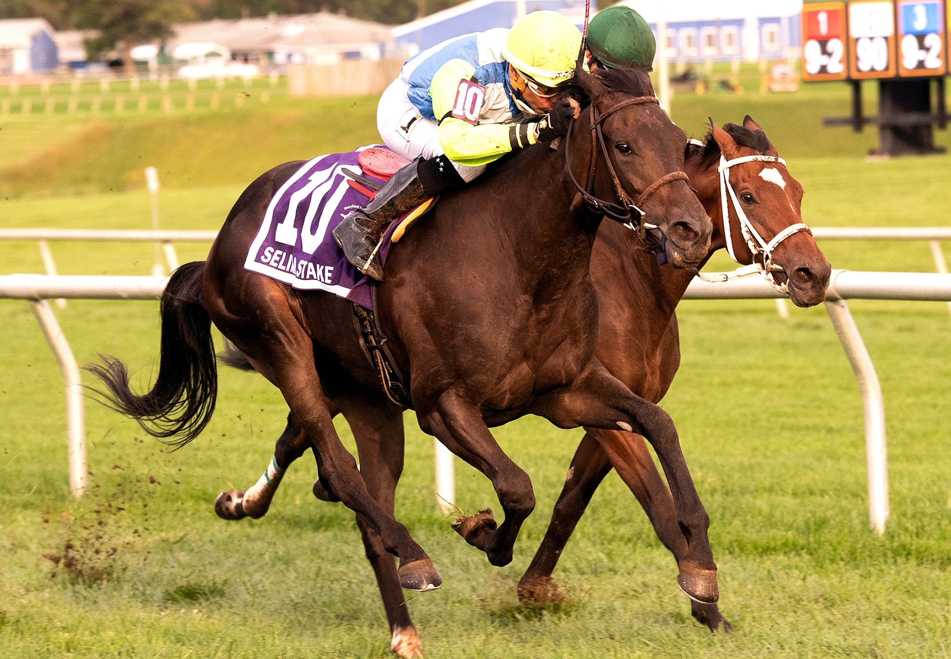 Monkey's Uncle (Uncle Mo) winning the Selima Stakes at Laurel