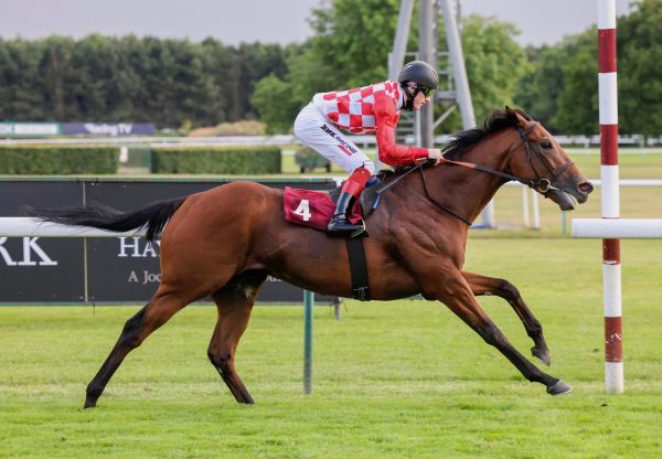 Dinoo (Starspangledbanner) Wins His Maiden At Haydock