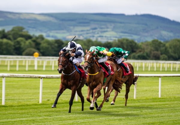 Impeached Alexander (Starspangledbanner) On Far Side Wins Her Maiden At Cork