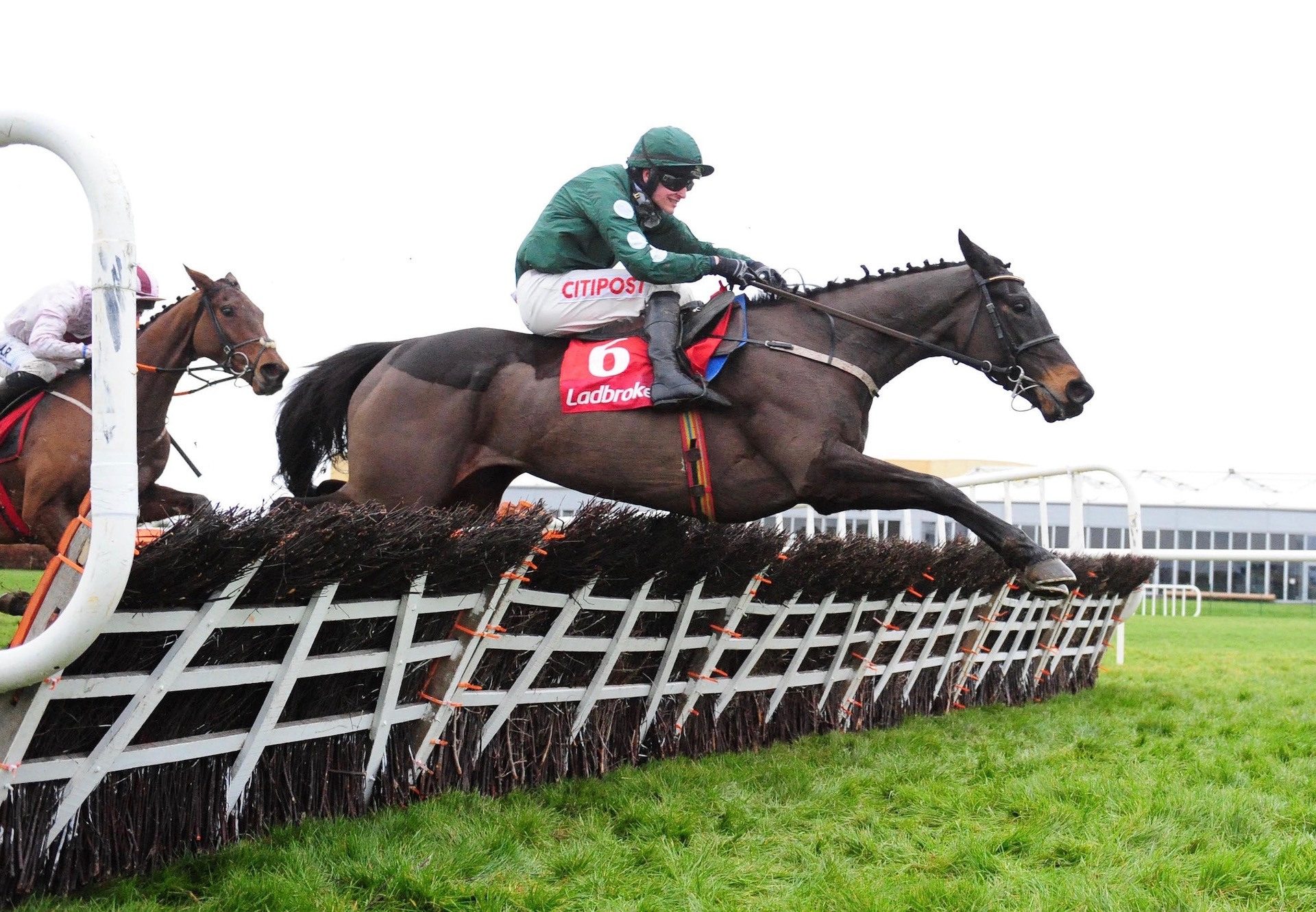 Lady Breffni (Yeats) Wins The Mares Maiden Hurdle At Punchestown