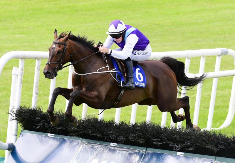 Quirt Evans (Getaway) Wins The Maiden Hurdle At Tramore