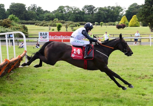 Say Goodbye (Getaway) Impresses In The Mares Maiden Hurdle At Bellewstown