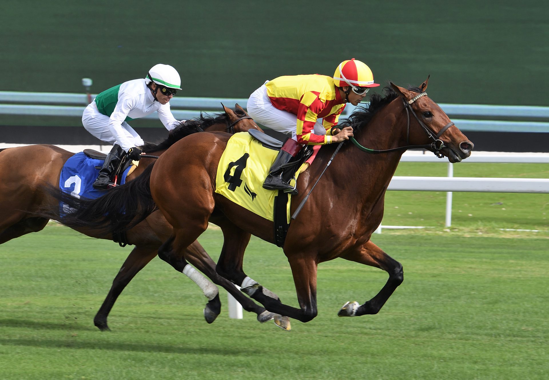 Rotterdam (Mendelssohn) Wins Gulfstream Park MSW