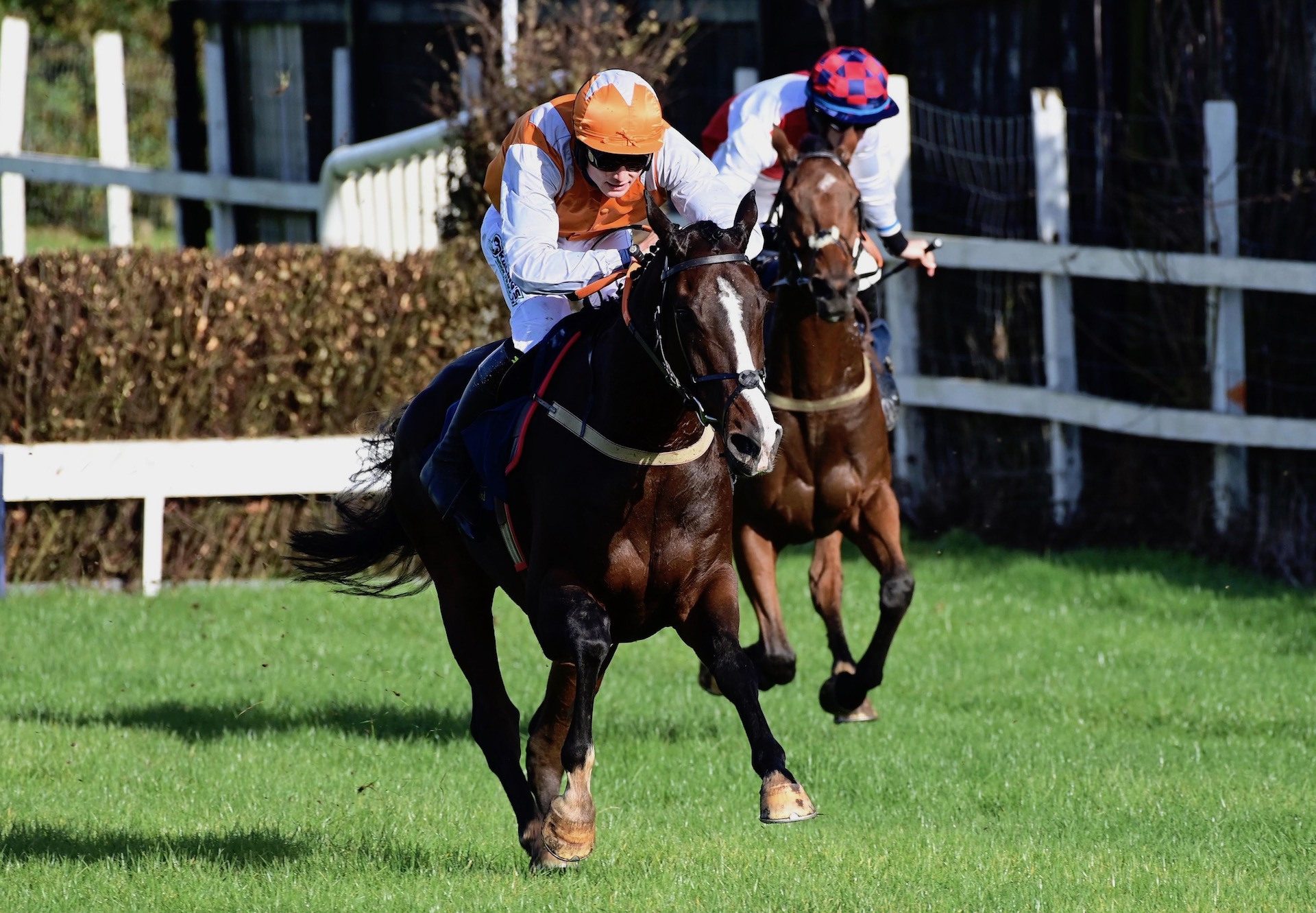 Chasing Fire (Maxios) Wins The 4YO Maiden At Tattersalls