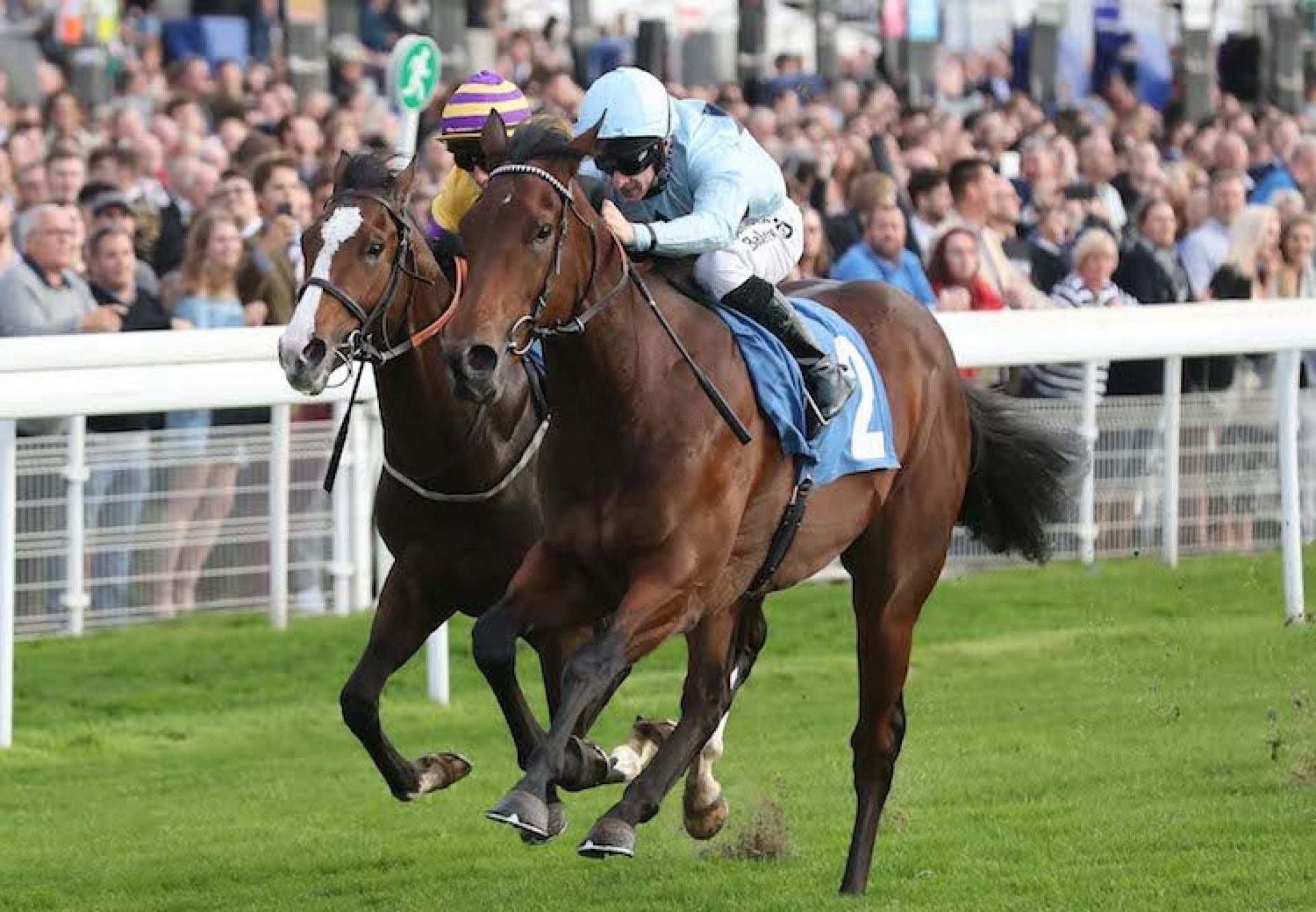 Jonah Jones (No Nay Never) winning a novice stakes at York