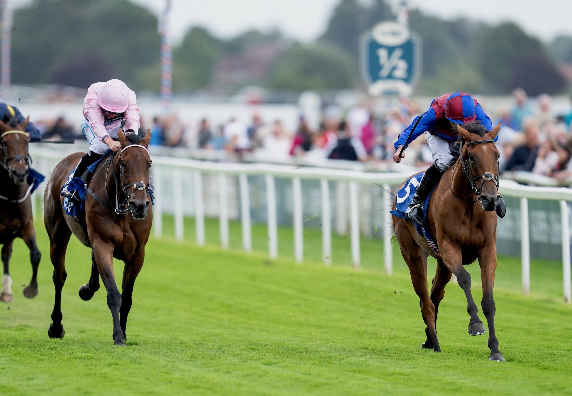 Content (Galileo) Wins The Group 1 Yorkshire Oaks