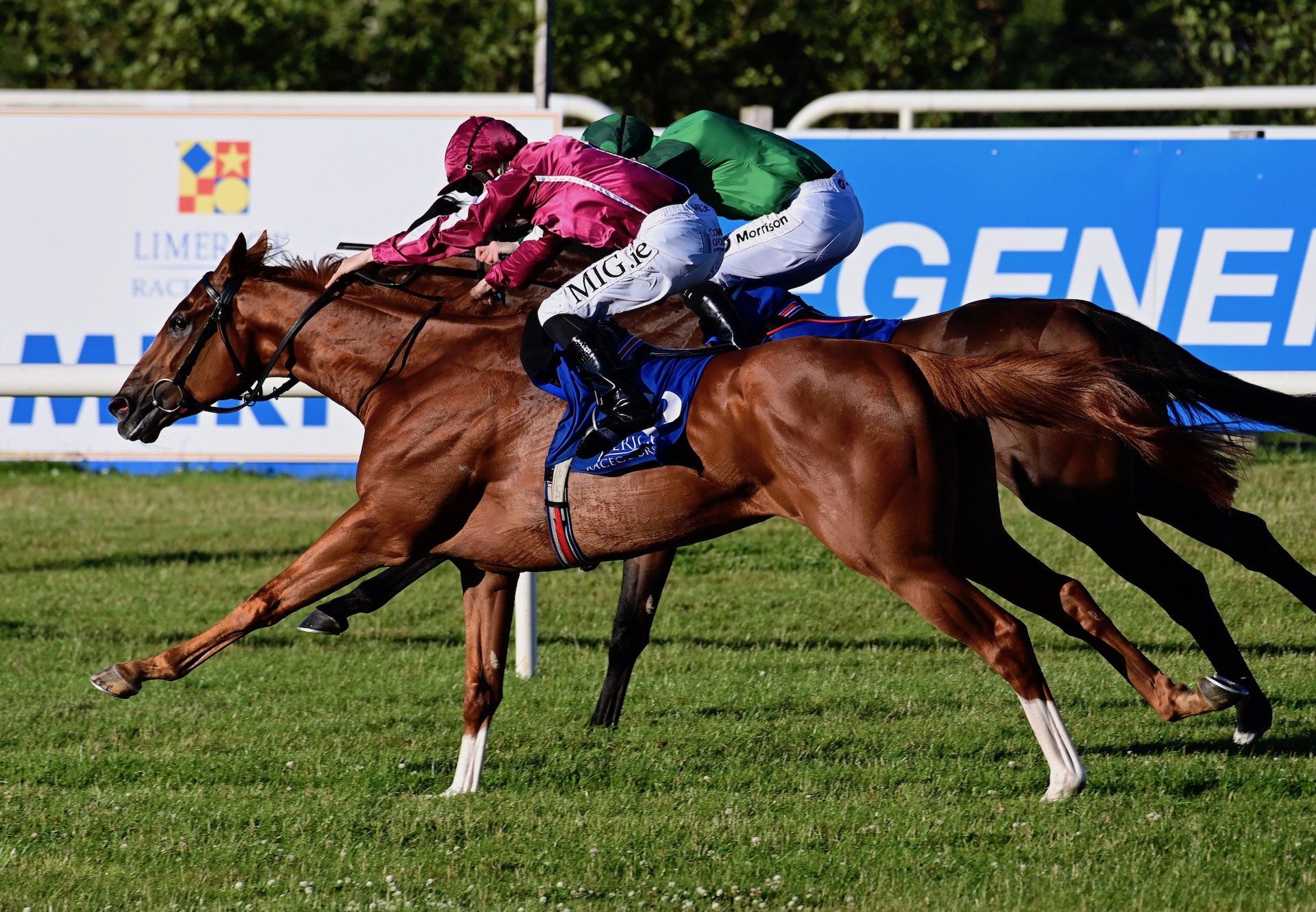 Magellan Strait (Australia) Wins His Maiden At Limerick