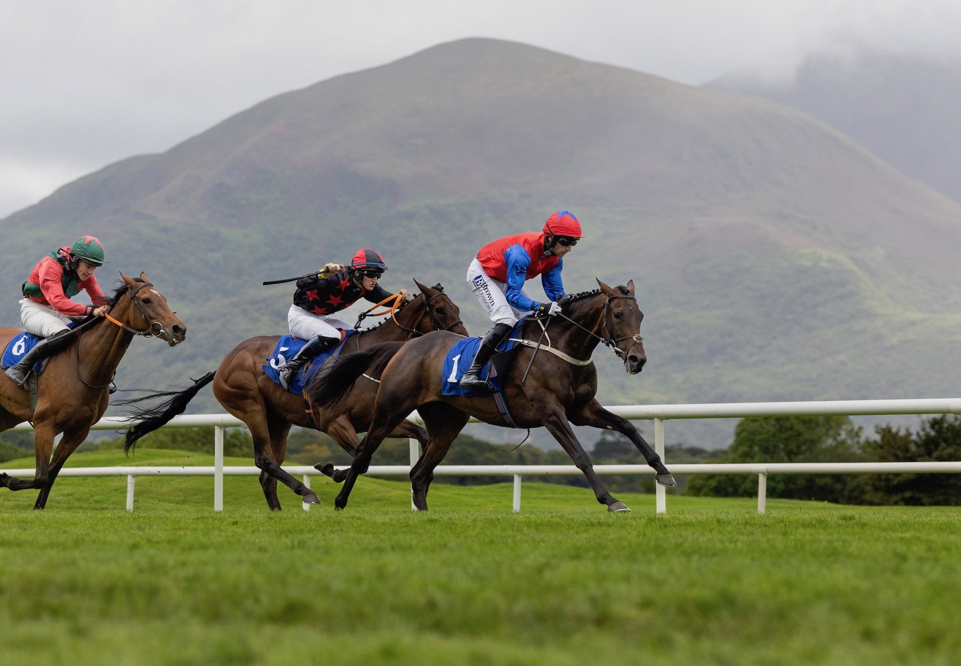 Aurora Vega (Walk In The Park) Wins The Bumper At Killarney