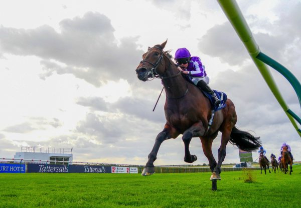 Wichita (No Nay Never) Wins the Gr.3 Tattsersalls Stakes at Newmarket