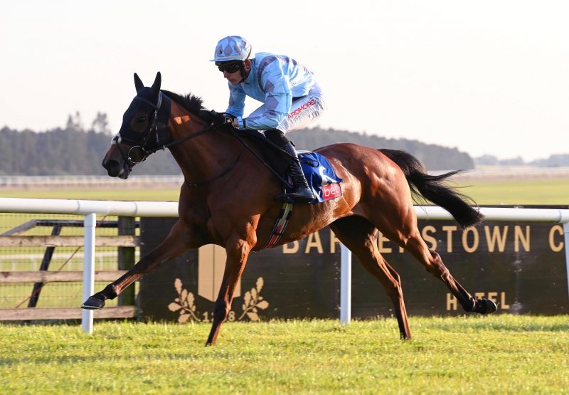 Lionnar (Walk In The Park) Wins The Bumper At The Curragh