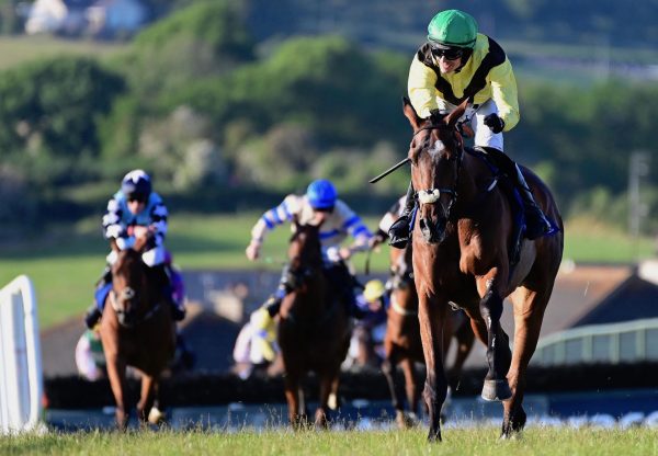 Thunder (Mahler) Wins His Maiden Hurdle At Tramore