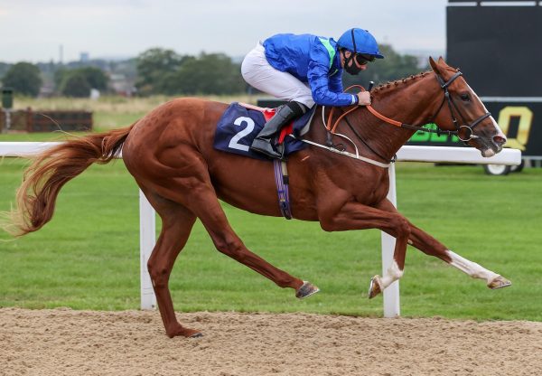 Fandabidozi (Mastercraftsman) Wins His Maiden At Newcastle