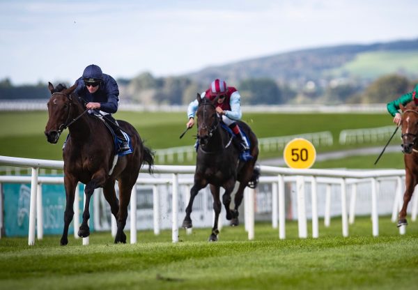 Santa Barbara (Camelot) Wins On Debut At The Curragh