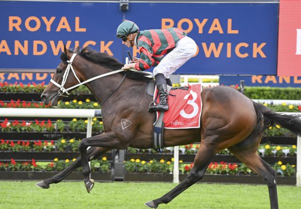 Straight Arron (Fastnet Rock) winning the Gr.3 Carbine Club at Randwick