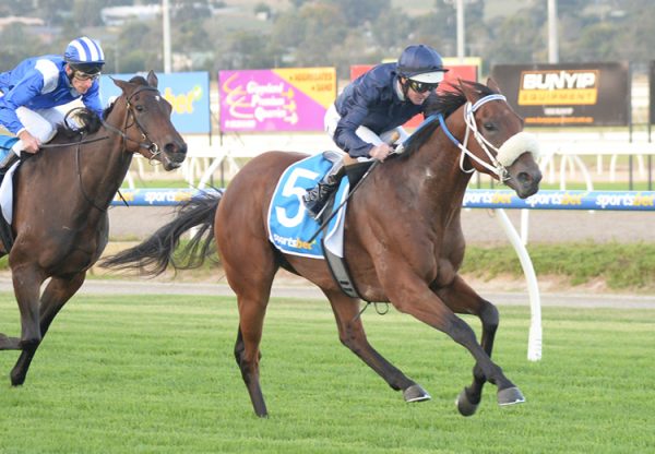 Ancient Egypt (American Pharoah) winning at Pakenham