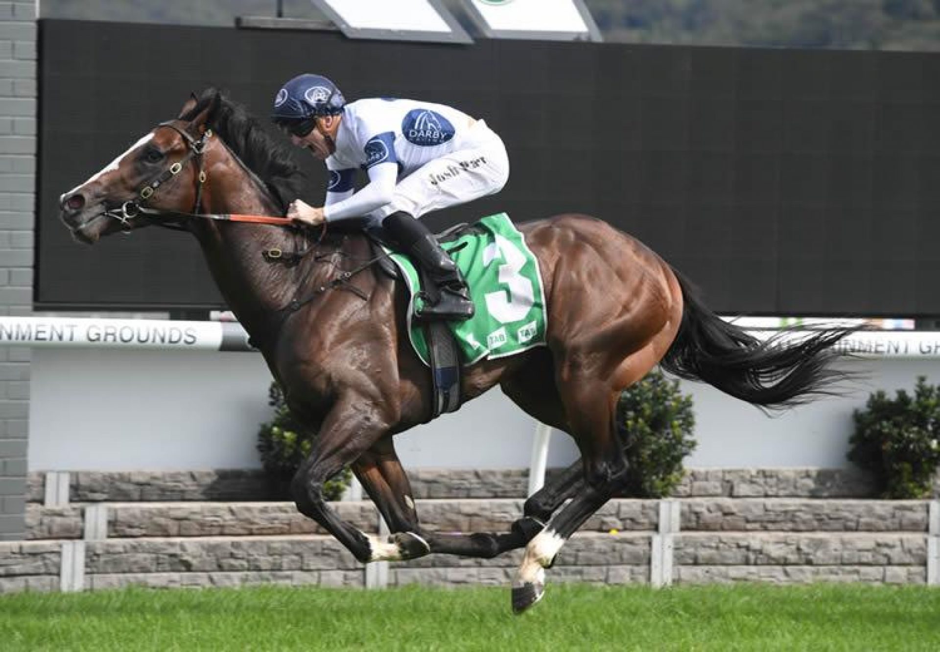 Overpass (Vancouver) winning at Gosford