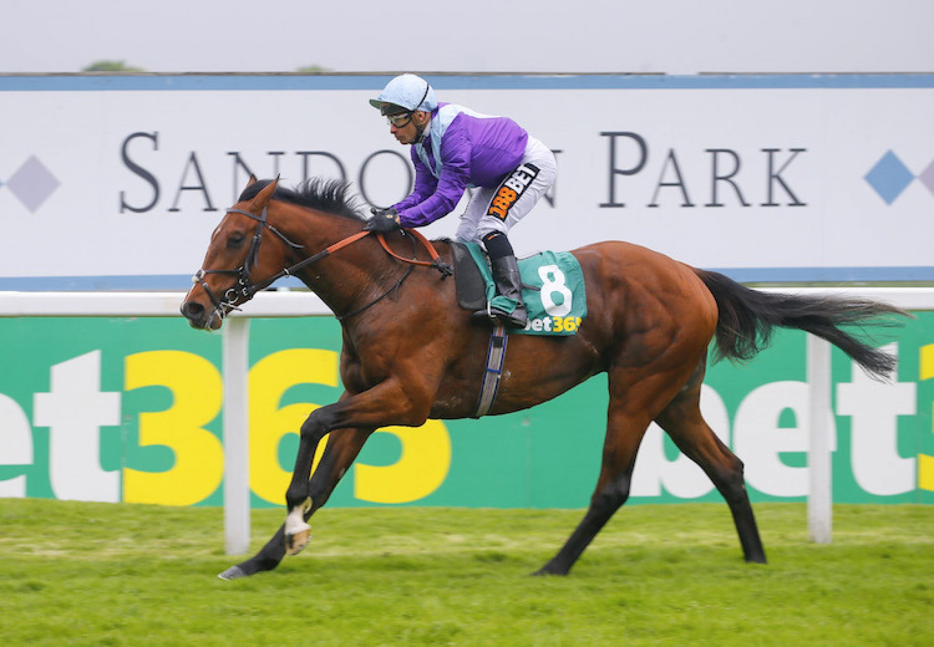 Merlin Magic (Camelot) winning the Esher Cup at Sandown