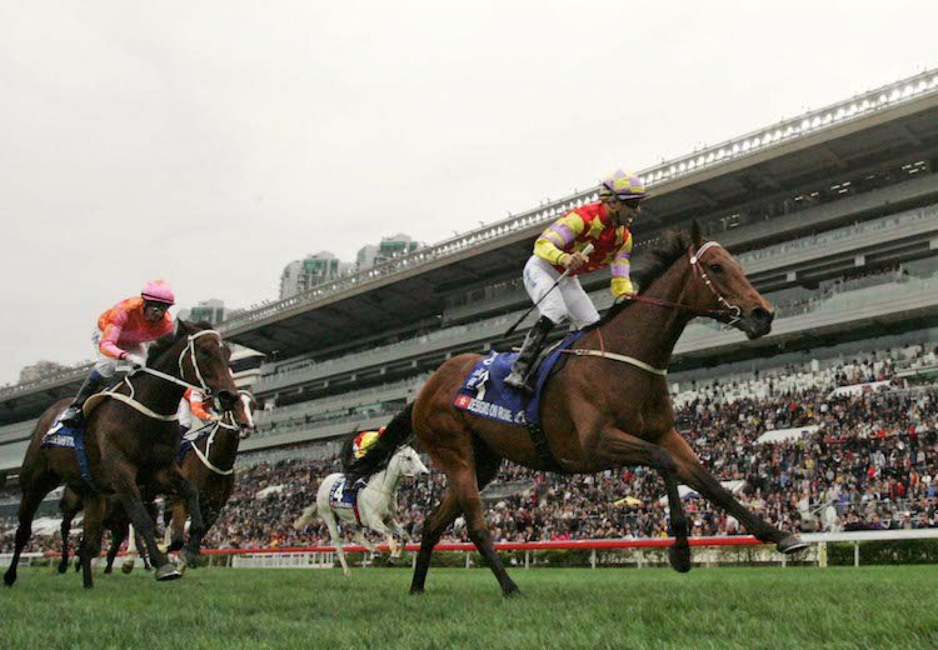 Designs On Rome (Holy Roman Emperor) winning the G1 Citibank Hong Kong Gold Cup at Sha Tin