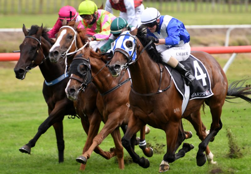 Gino Severini (Fastnet Rock) winning the Gr.2 Ultimate Mazda Japan Trophy (1600m) at Tauranga