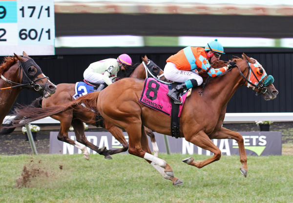 Peltzer (So You Think) winning at Randwick