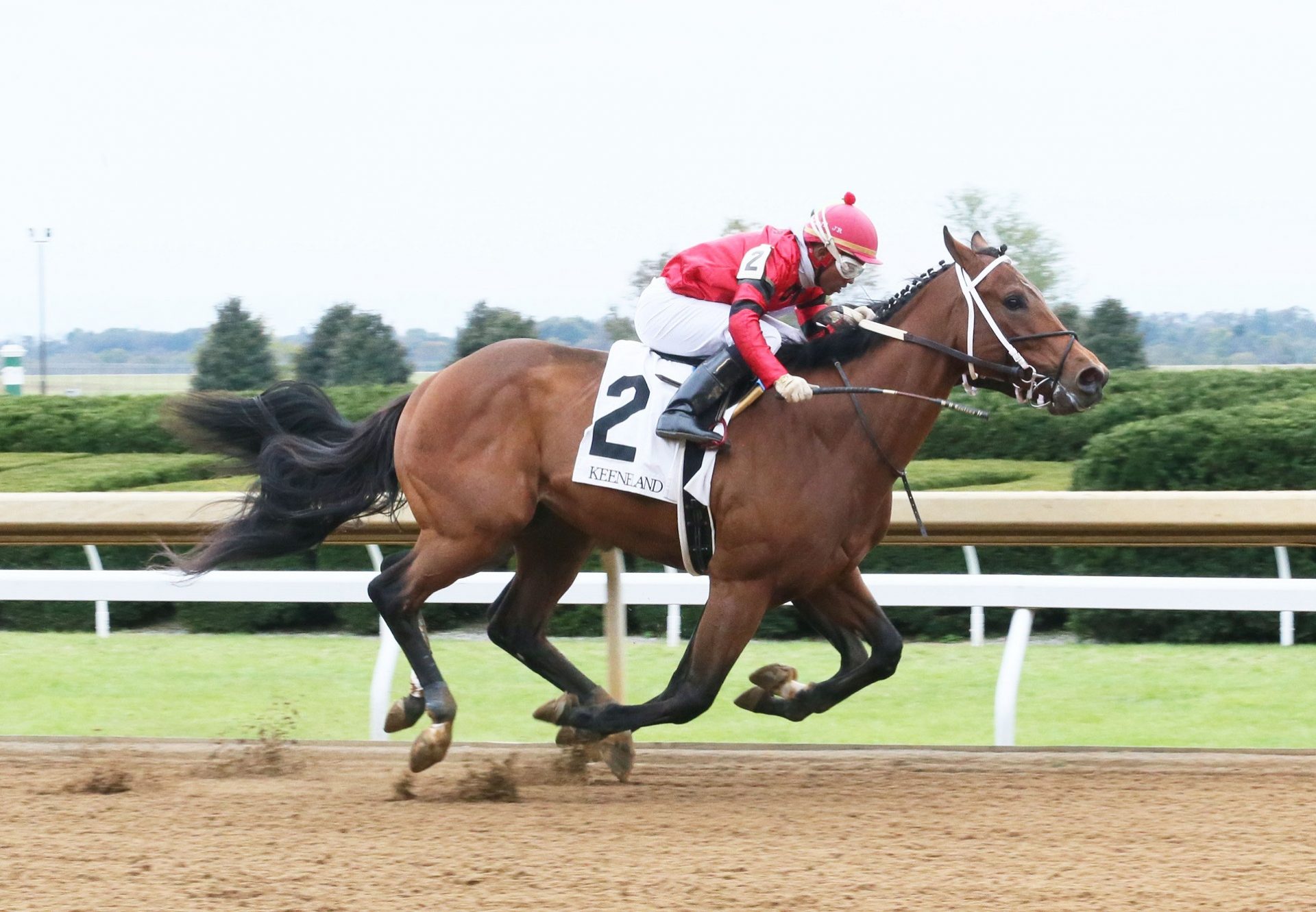 Boldor (Munnings) winning at Keeneland