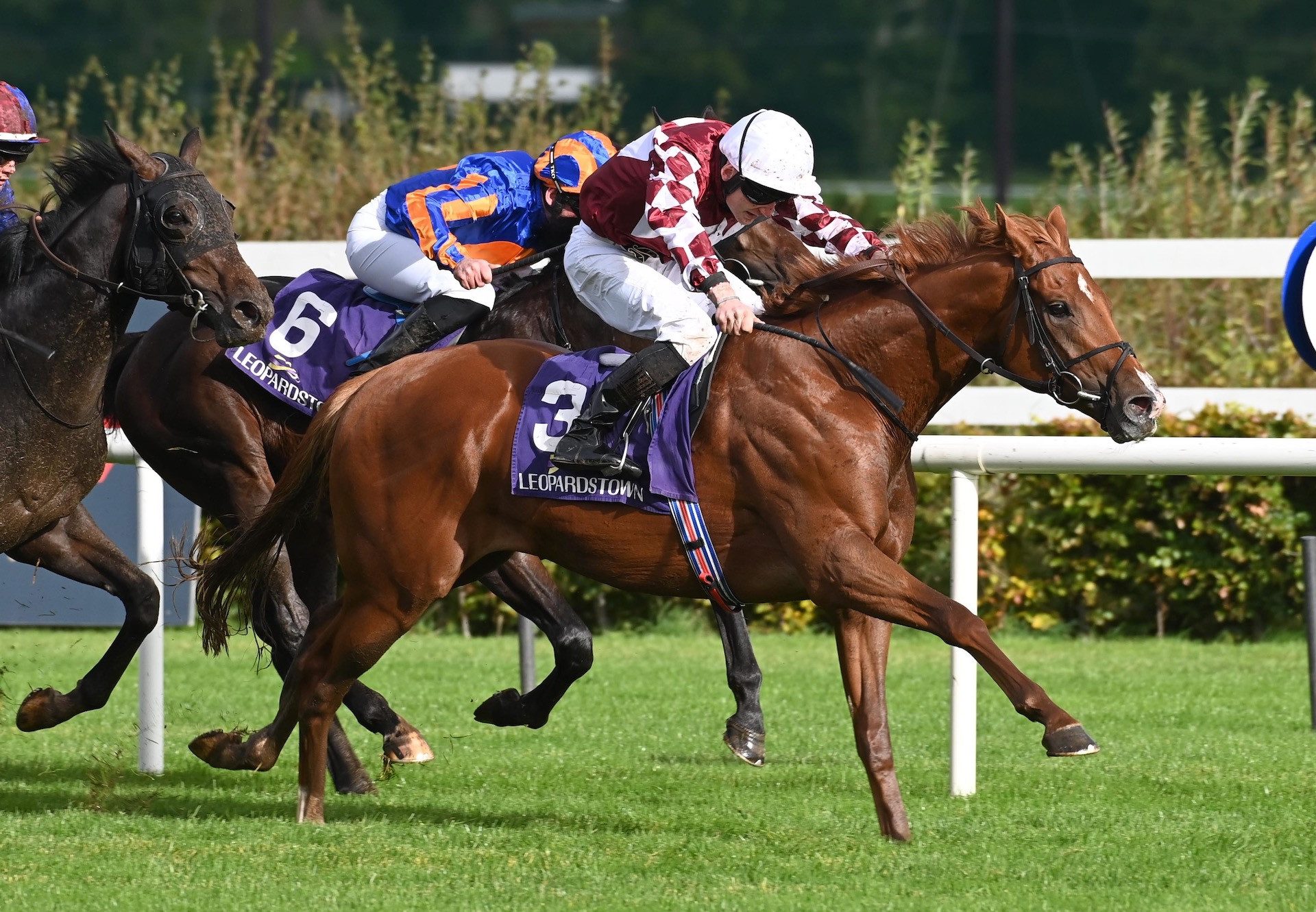 Guildenstern (Starspangledbanner) Wins A Maiden At Leopardstown