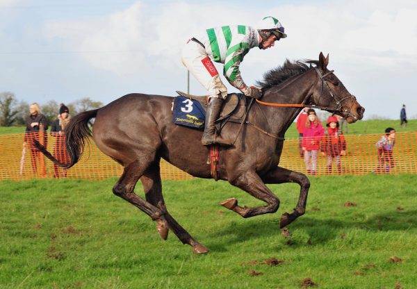 Feronily (Getaway) Impresses At Rathcannon