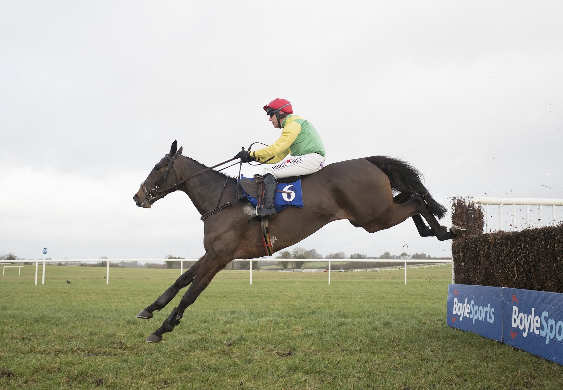 Moonshine Bay (Milan) Wins Impressively Over Fences At Thurles