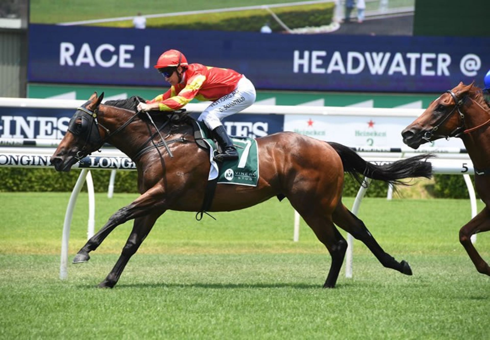 Return With Honour (Fastnet Rock) winning at Randwick