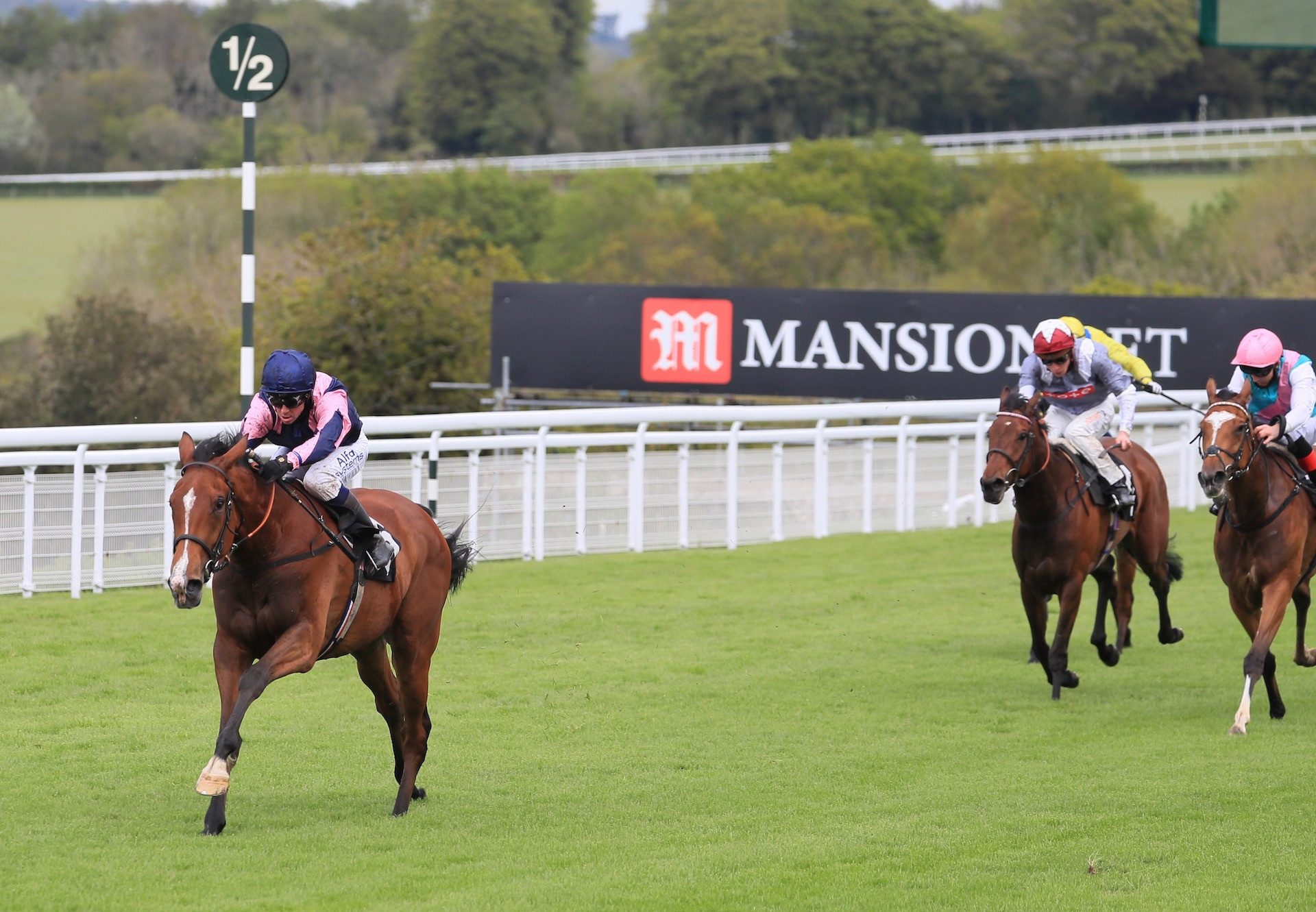 Via Sistina (Fastnet Rock) Impresses In The Fillies Novice Stakes At Goodwood