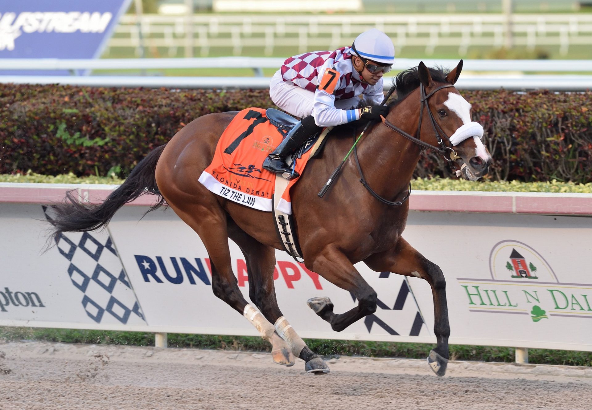 Tiz The Law Winning The Florida Derby