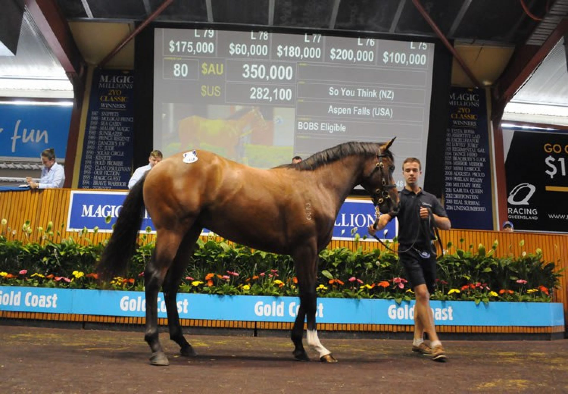 So You Think ex Aspen Falls colt selling at Magic Millions